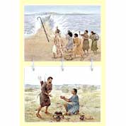 105 Laminated Color Pictures