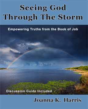 Seeing God Through The Storm: Empowering Truths From The Book Of Job eBook